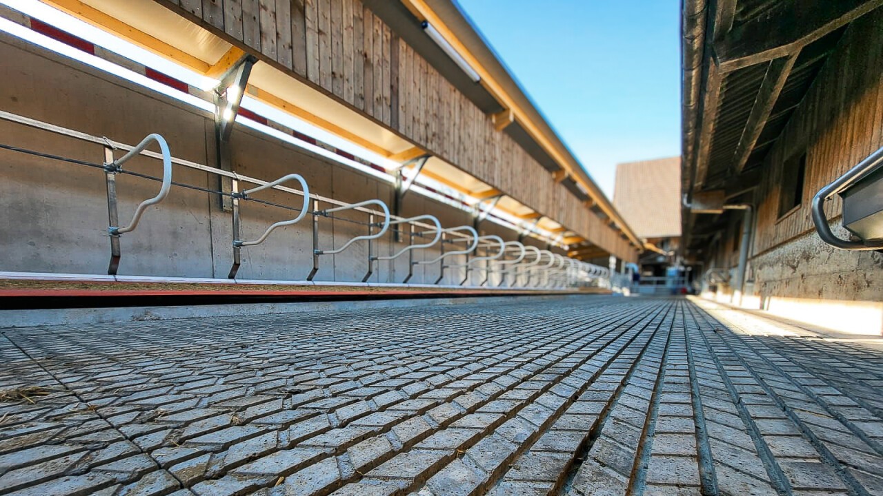Speedflex Boxenbügel, Dutch Mountain Weichbettmatte, Element-Rillenbodenplatte