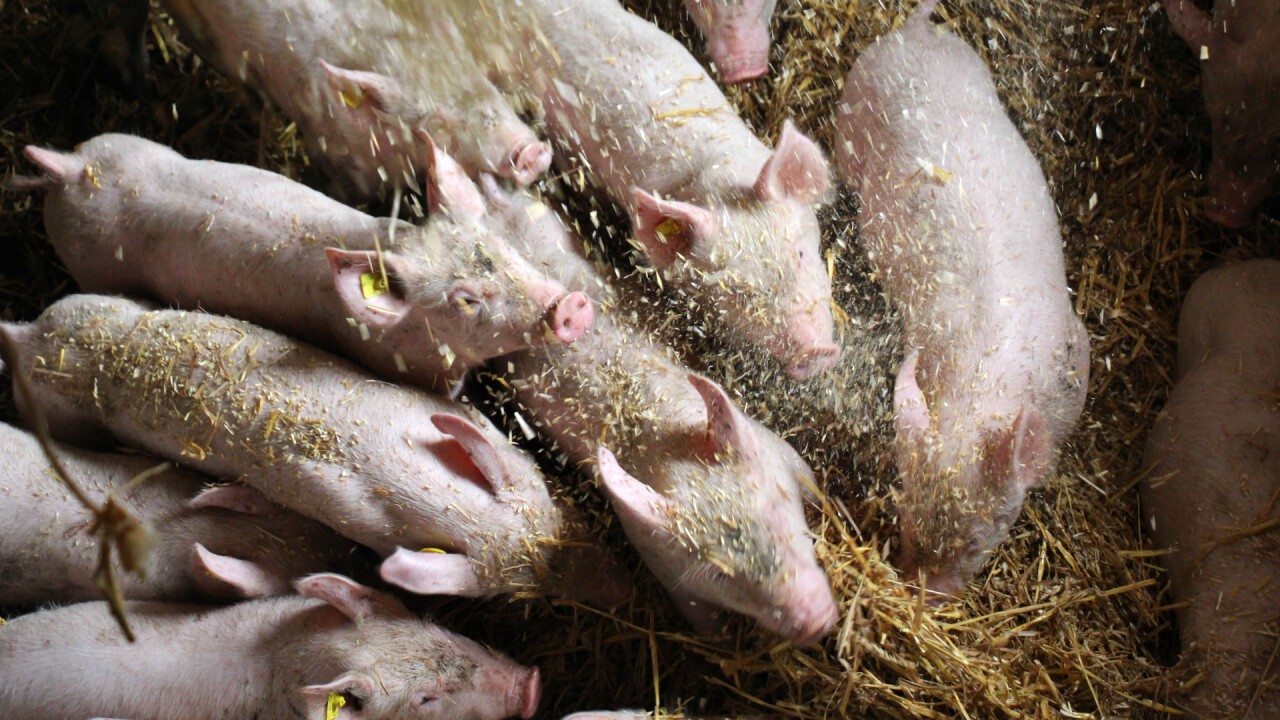 Frisches Stroh und saubere Luft in Ihrem Stall!