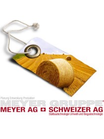 Schweizer AG