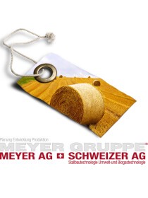 Meyer AG