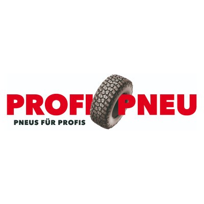 Logo Profi Pneu AG