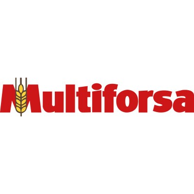 Logo Multiforsa