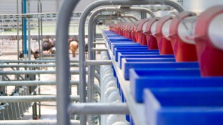 Fütterungseinrichtungen, Weideeinrichtungen, Gülletechnik
